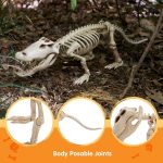 Joyfy Halloween Skeleton Fish Skeleton Halloween Decor,Plastic Skeleton with LED Eye for Halloween Decoration Outdoor Haunted House Party - Image 21