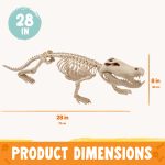 Joyfy Halloween Skeleton Fish Skeleton Halloween Decor,Plastic Skeleton with LED Eye for Halloween Decoration Outdoor Haunted House Party - Image 33